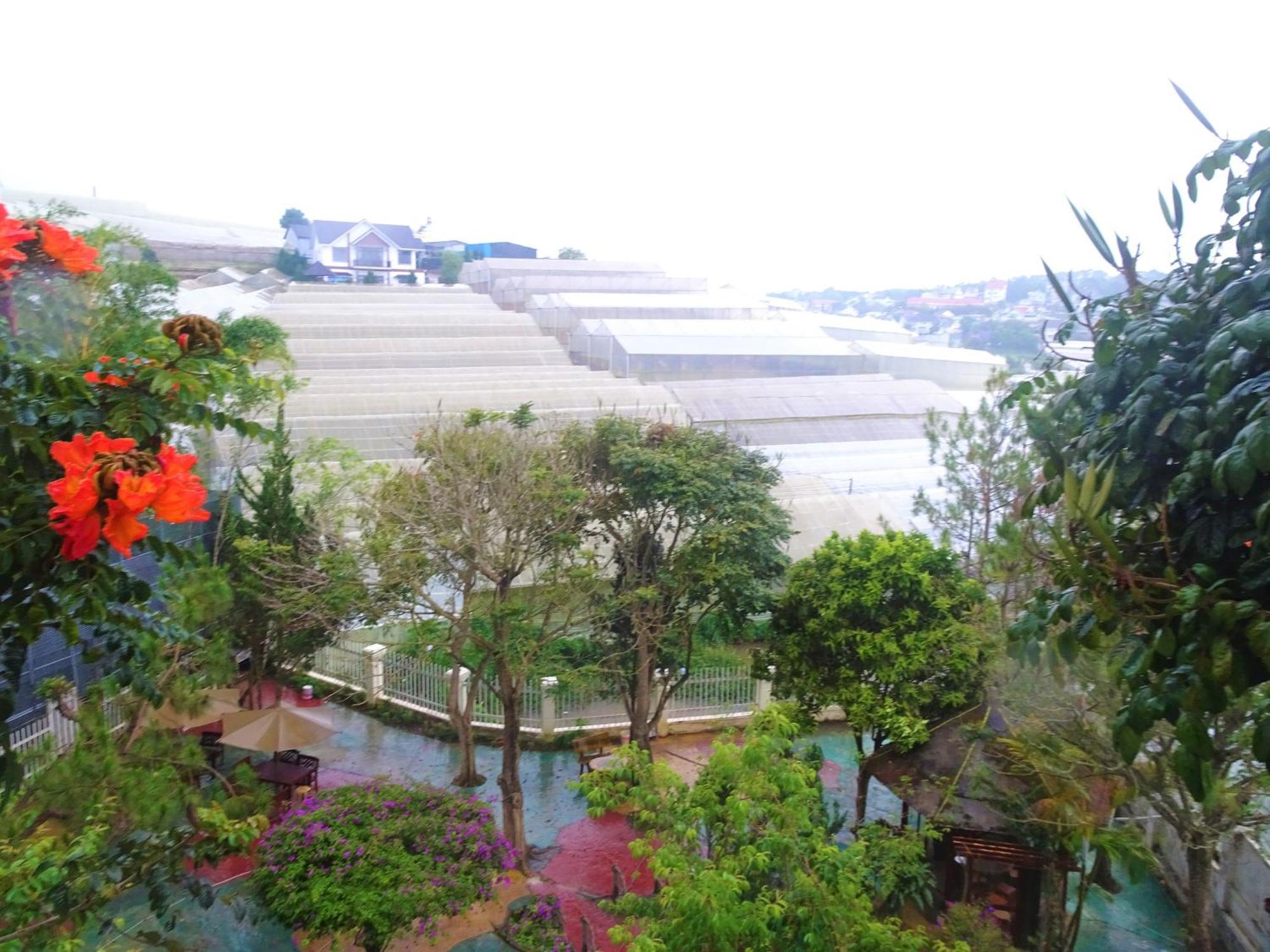 Mento Villa Dalat Bagian luar foto