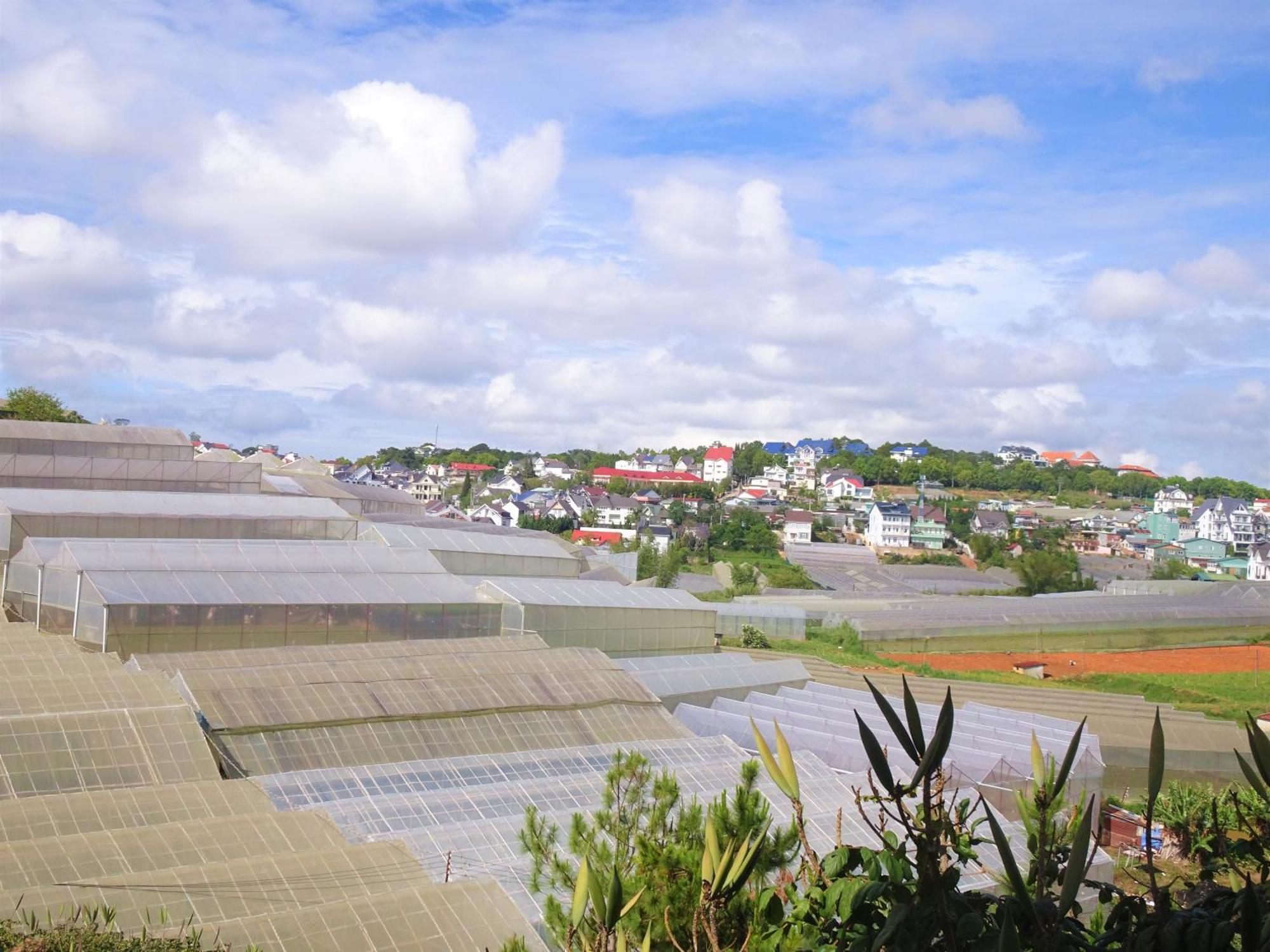 Mento Villa Dalat Bagian luar foto