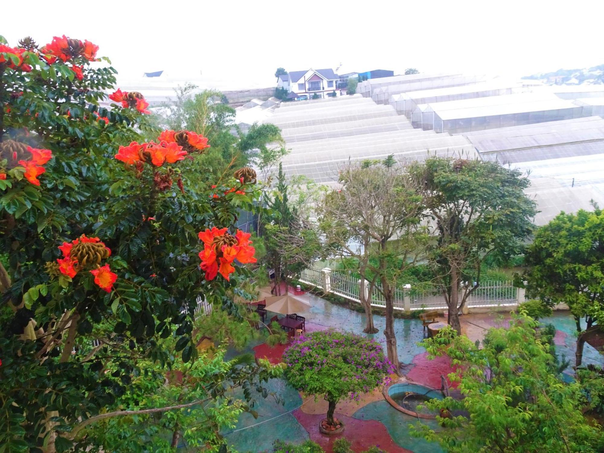 Mento Villa Dalat Bagian luar foto